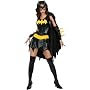 Batgirl Costume Adult