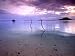Electricity Cable Supplying Stilt House off Remote Island, Lesser Sunda Archipelago, Indonesia Photographic Poster Print by Jay Sturdevant, 12x9