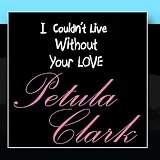 I Couldn`t Live Without Your Love
