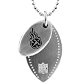 NFL Tennessee Titans 2 Piece Steel Sport Tag - 26"