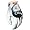 Callaway Ion Series Men's Golf Gloves (Left Hand, Large)