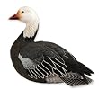Blue Goose Life-Size Sculpture