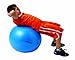 Flaghouse Inc. Exercise Ball