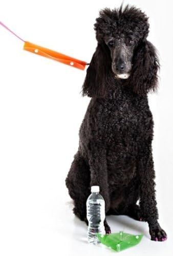 Water Bowl Roll - Carry on Your Leash - Lime Green Medium (9.4" x 9.4")