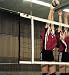 Sports : Volleyball-Turniernetz DVV 1 (St&uuml;ck)