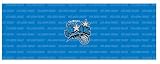 Orlando Magic Team Auto Rear Window Decal