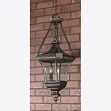 Devon Collection 31 High Outdoor Hanging Light