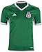 Adidas Kid's Mexico Home Soccer Jersey (Green)