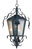Rustic Outdoor 1 light Hanging Lantern, ONE - LIGHT, BLACK - B00...