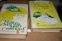 The Seventeenth Stair (Magna Large Print Books)