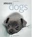 Dogs: 101 Adorable Breeds