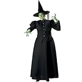 IMAGE OF Wicked Witch Plus Elite Collection Adult Halloween (XXX-Large)