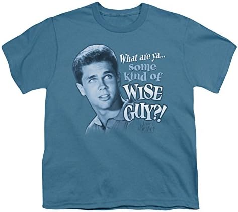 Leave It To Beaver Boys' Wise Guy Youth T-shirt Youth Large Slate