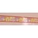 CoCaLo Tropical Punch Wall Border
