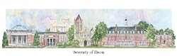 University of Illinois-ChampaignUrbana - Collegiate Series - 11.5 x 24 Inch Print