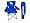 Kentucky Wildcats