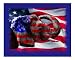 Proud Republican Education Photographic Poster Print by Marlene Barrett, 10x8