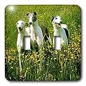 Dogs Greyhound - Greyhound - Light Switch Covers - double toggle switch