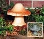 Mushroom Light (Natural Finish)