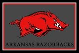 Arkansas Razorbacks ( University Of ) NCAA 3x5 Area Rug