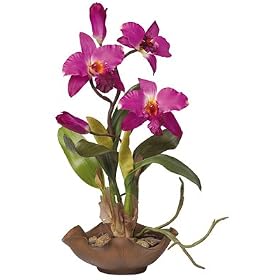 http://ecx.images-amazon.com/images/I/4110J0EH65L._SL500_AA280_.jpg