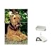 Airedale Terrier Flip Top Lighter