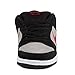 NIKE DUNK LOW PREMIUM SB QS MENS Sneakers 504750-060