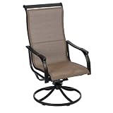 Living Accents Carneros Swivel Rocker Set of 2