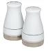 Noritake Crestwood Platinum Salt and Pepper Shakers