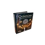 Catholicism Series Study Guide/Workbook ~ Fr. Robert Barron