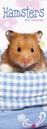 Hamsters Slim Calendar 2016