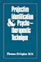Projective Identification and Psychotherapeutic Technique