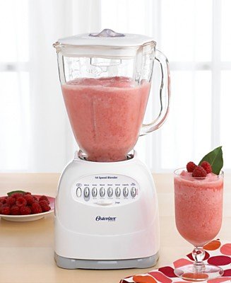 Oster 14 Speed Blender