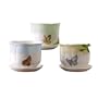 Lenox Butterfly Meadow Planters, Set of 3