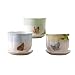Lenox Butterfly Meadow Planters, Set of 3