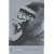 Planet of the Apes (Penguin Modern Classics)