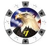 Three-Tone Stars/Eagle Chips (11.5g) 100 White w/ Tray
