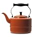 Paula Deen 2-Quart Enamel on Steel Teakettle, Orange