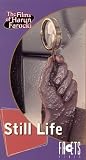 VHS : Still Life
