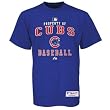 Youth Chicago Cubs Authentic Collection Property Of Tee