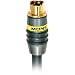 Monster Cable High-Resolution S-Video Cable (6.6 Feet)