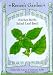 Basil Salad Leaf Seeds 500 Seeds