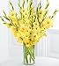 Hillside Sun Gladiola Flower Bouquet