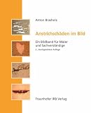 Anstrichschäden im Bild: Wechselwirkungen zwischen Untergrund und Beschichtung