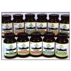 Tumeric Formula Organic By Organic India,  90 caps