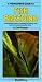 A Fishkeeper's Guide to Fish Breeding