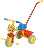 Review Born to Play ND002 / Noddy Trike with Detachable Parent Handle
