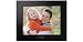 Sony DPF-C800 Digitaler Bilderrahmen (20,3 cm (8 Zoll) Display mit ECO-Funktion, 4:3, SD/SDHC Kartenslot)