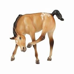 Breyer Traditional Buttercup - Appaloosa Foal