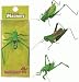 Single, Critter Grasshoper Fridge Magnet 4